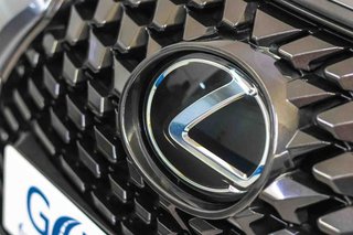 Lexus UX 2.0 250h Business