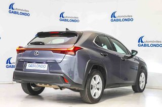 Lexus UX 2.0 250h Business