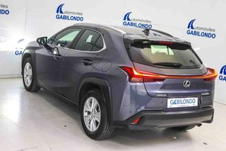 Lexus UX 2.0 250h Business