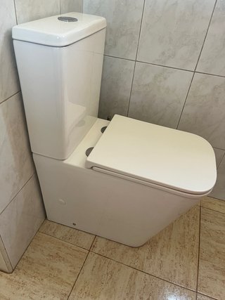 Inodoro completo en perfecto estado