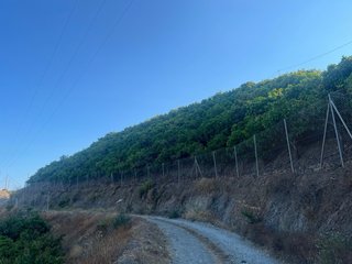 Finca de mangos y aguacates en TORROX.