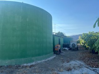 Finca de mangos y aguacates en TORROX.