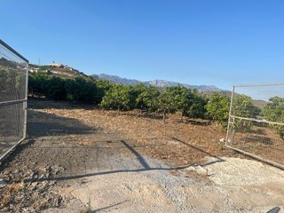 Finca de mangos y aguacates en TORROX.