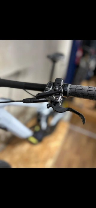 Orbea Wild