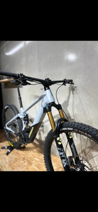 Orbea Wild