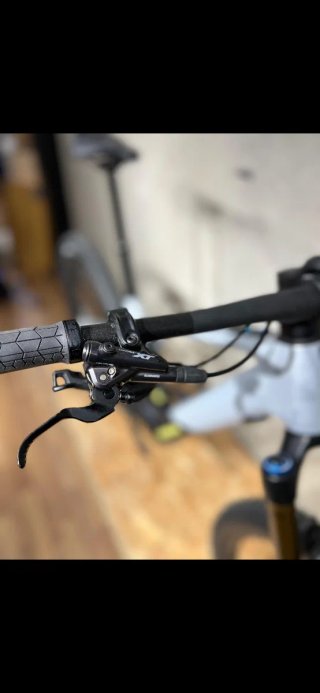 Orbea Wild