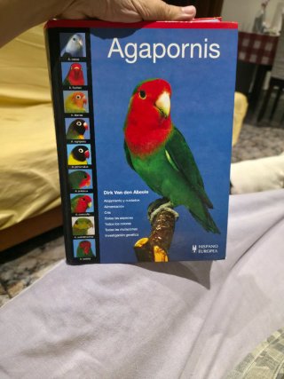 Libro