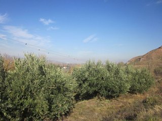 Terreno en venta en Albelda de Iregua