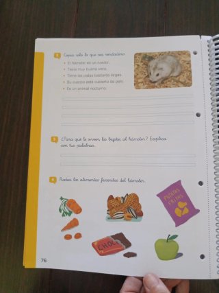 Lengua +, 2 Primaria, Tareas y destrezas comuni...