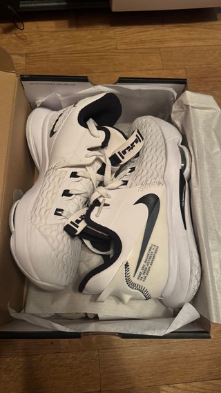 Nike LeBron Witness Summit White
