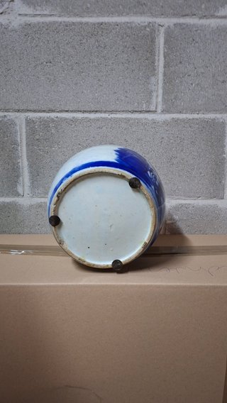 Coppia vasi zenzero blu e bianchi