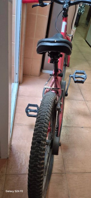 Bicicleta infantil Rali 20" con uso pero esta muy