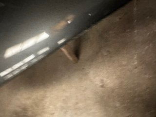 Capó Subaru Impreza