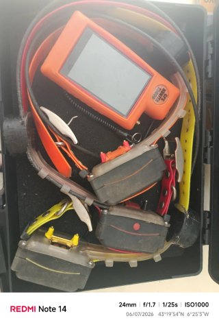 Collares GPS Hunter Pro 25000