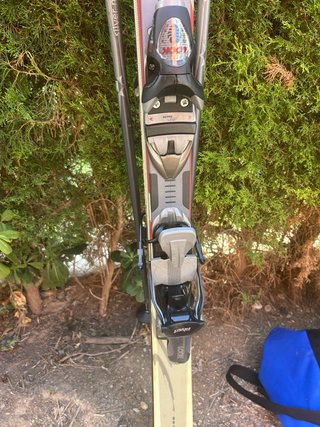 Esquís Dynastar Skycross 170