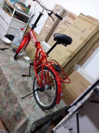 Bicicleta plegable