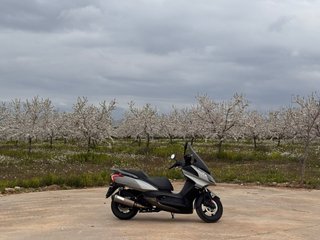 Moto 125cc Scooter Gris