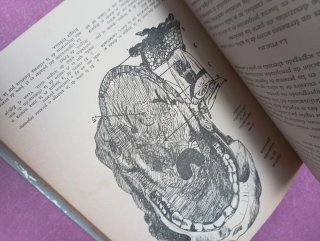 Medicina Naturista de urgencia
