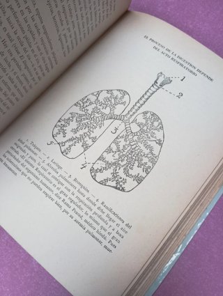 Medicina Naturista de urgencia
