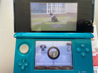 Nintendogs + Cats Barboncino Nano e Nuovi Amici pe