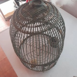 Jaula para perdigon