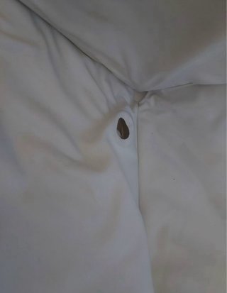 Bañera Plegable Beaba