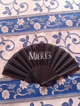 Abanico Conceyu de Mieres Negro