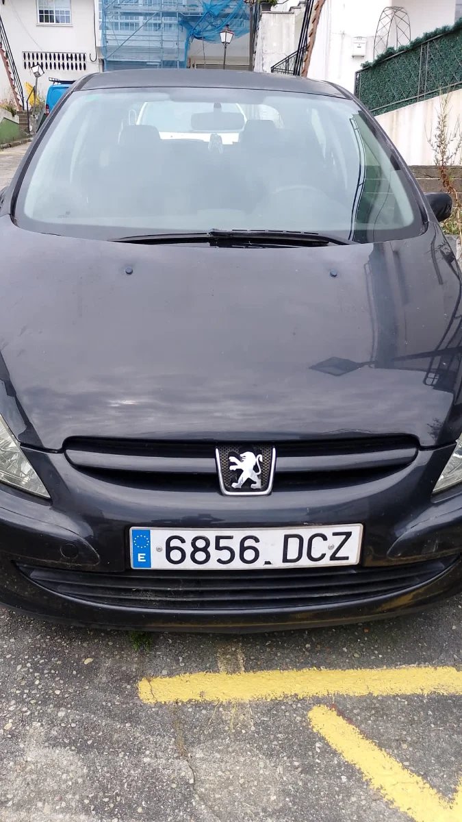Peugeot 307 2004 - foto 1