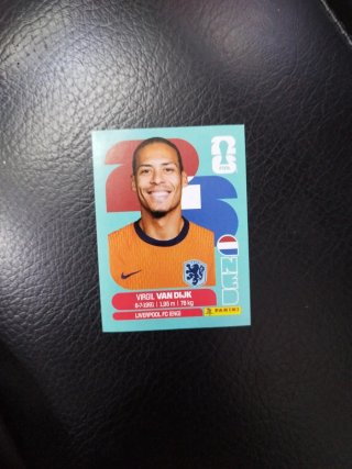 Carta Panini Virgil Van Dijk Liverpool FC