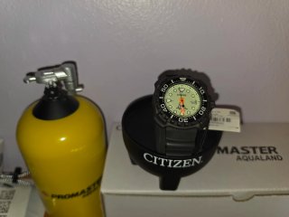 Citizen Promaster Aqualand Titanium