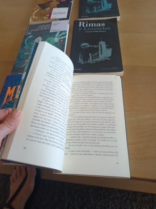 Libros de lectura El Valle