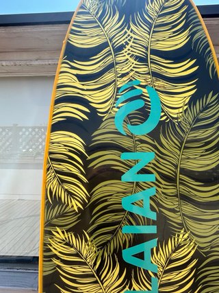 Tabla de surf 7' + quillas