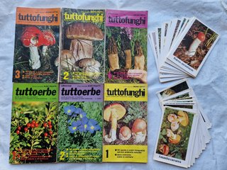 Libri come riconoscere i funghi, Erbe.