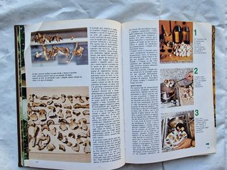 Libri tutto sui funghi