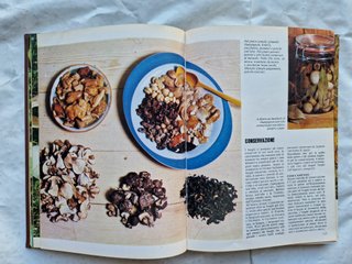 Libri tutto sui funghi