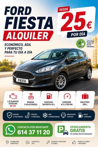 ALQUILER CHOCHE EN BILBAO CENTRO O AEROPUERTO