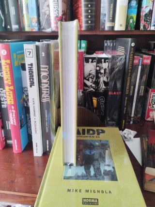 AIDP INTEGRAL VOL.10