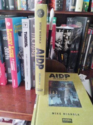 AIDP INTEGRAL VOL.10