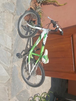 Bicicleta infantil verde y blanca
