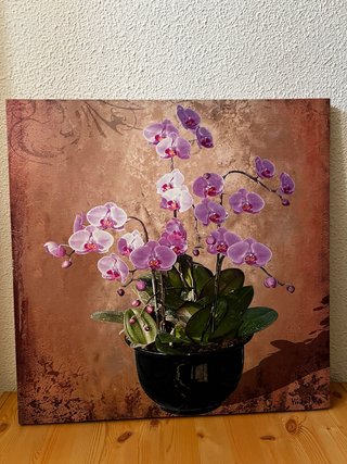 Cuadro Decorativo orquideas