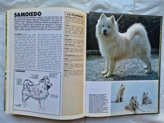 Libro sui Cani di moltissime specie