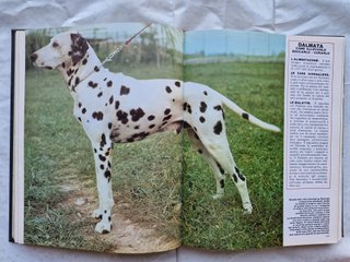 Libro sui Cani di moltissime specie
