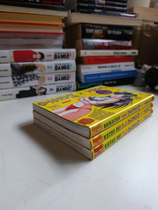 Pack Yura y Makoto 1 al 3, Akikatsu