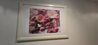 Cuadro Flores de Cerezo Marco Madera