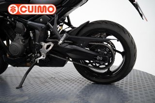 TRIUMPH TIGER SPORT 800