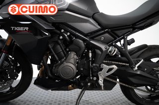 TRIUMPH TIGER SPORT 800