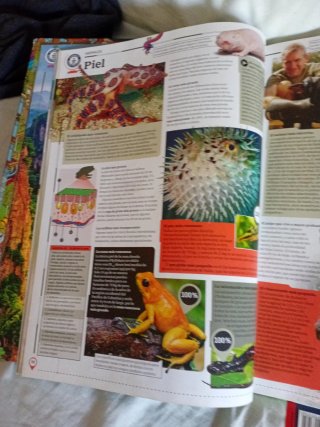 Guinness World Records 2021 y regalo cromos españa