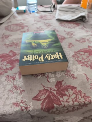 Harry Potter and the Half-Blood Prince (Book 6)