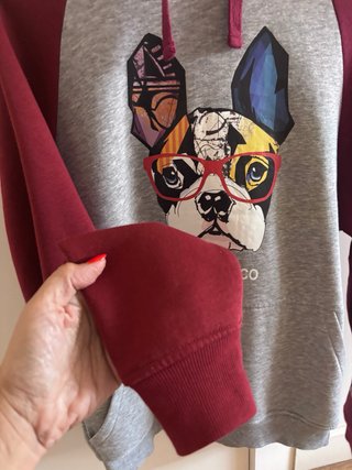 Sudadera Hombre Frankie & Co Perro