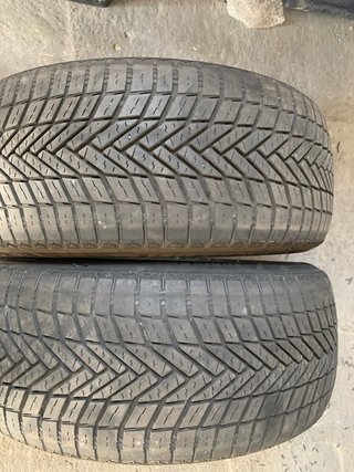 Neumaticos 205 55 r16 91v invierno